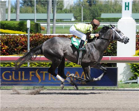 Graydar